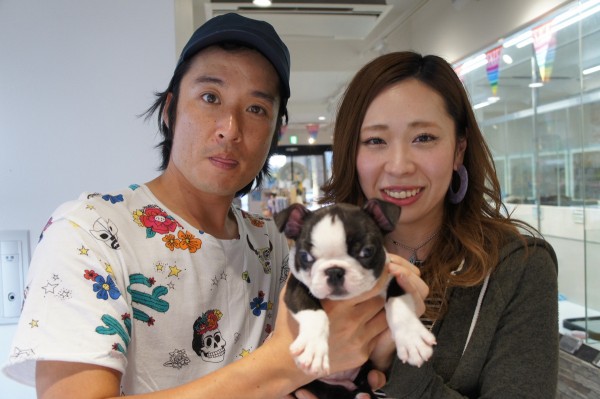 ボストンテリアのビリーくん！