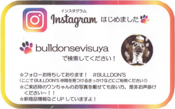 ★BULLDON’Sインスタグラム★サムネイル