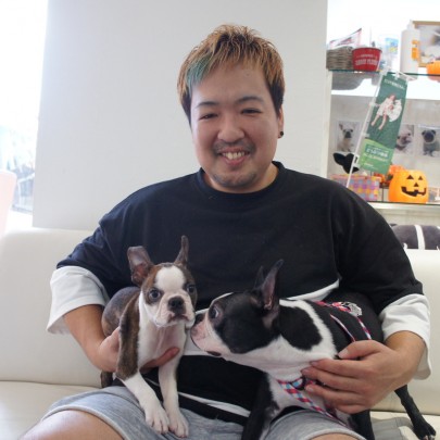 ボストンテリアのレオンくん！