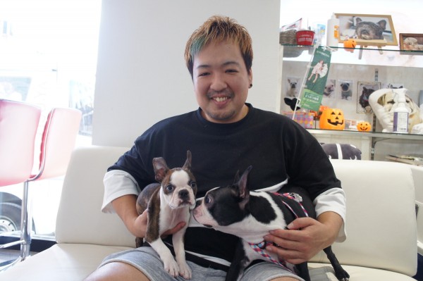 ボストンテリアのレオンくん！