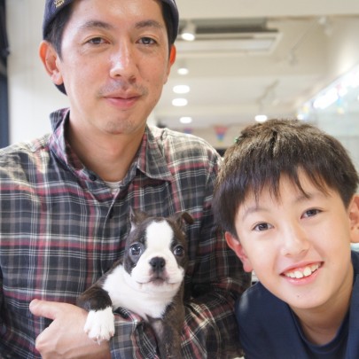 ボストンテリアのグリくん！