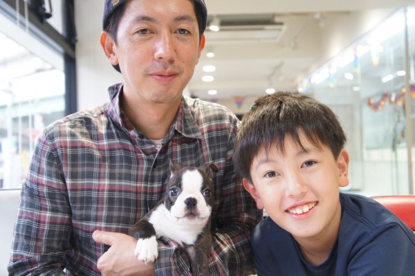 ボストンテリアのグリくん！