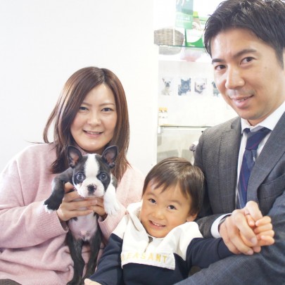 ボストンテリアのルパンちゃんサムネイル