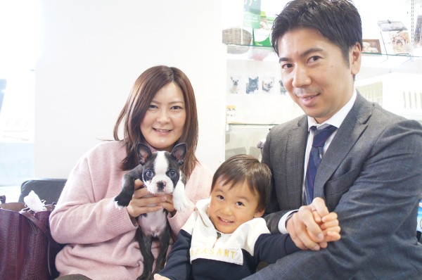 ボストンテリアのルパンちゃんサムネイル