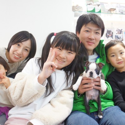 ボストンテリアの男の子！サムネイル