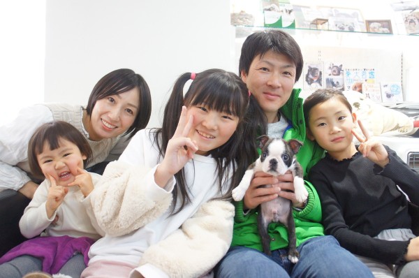 ボストンテリアの男の子！サムネイル