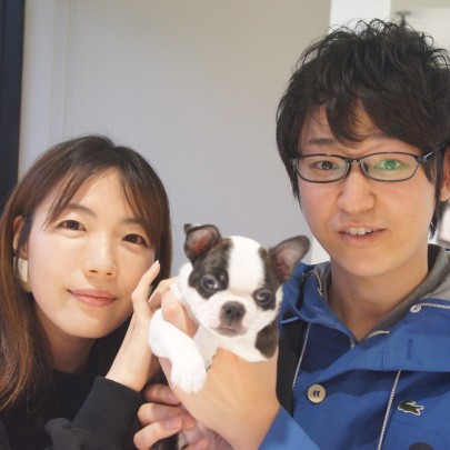 ボストンテリアのおもちちゃん