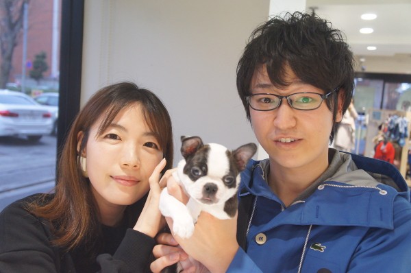 ボストンテリアのおもちちゃん