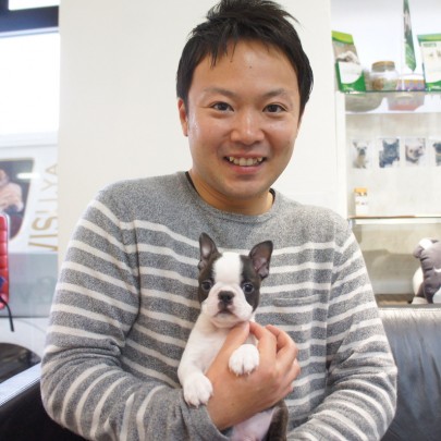 ボストンテリアのランプちゃんサムネイル