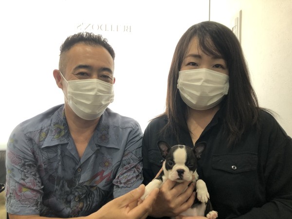 ボストンテリアのひめちゃんサムネイル
