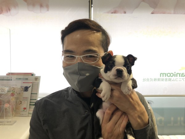ボストンテリアのはなちゃんサムネイル
