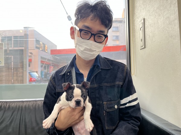 ★東京都のお客様★ボストンテリアの男の子！サムネイル