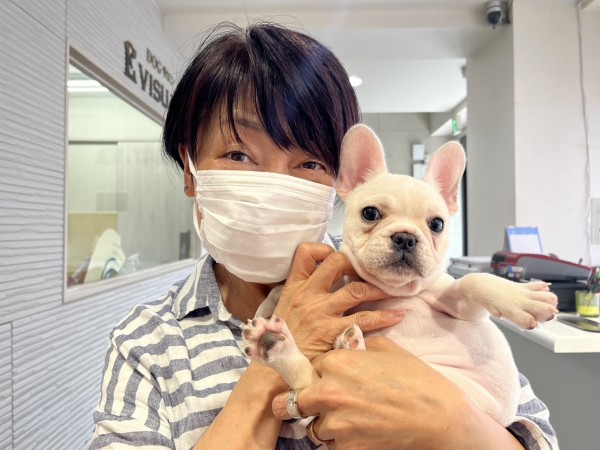 ★東京都のお客様★フレンチブルドッグのバリちゃん！サムネイル