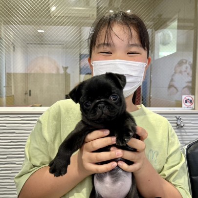 ★東京都のお客様★黒パグのパグちちゃん！サムネイル
