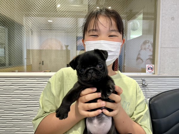 ★東京都のお客様★黒パグのパグちちゃん！サムネイル