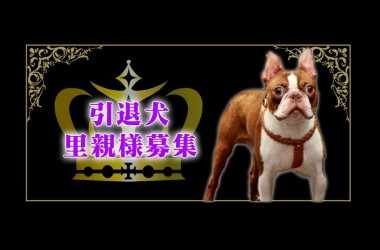 第8回 2025年里親会開催中サムネイル