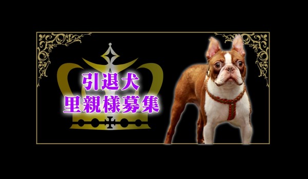 第8回 2025年里親会開催中サムネイル