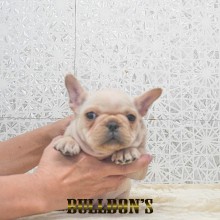 DSC06449
