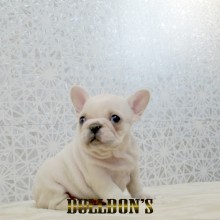 DSC06736