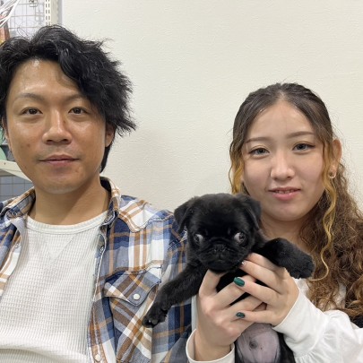 ★東京都のお客様★黒パグのパルくん！サムネイル