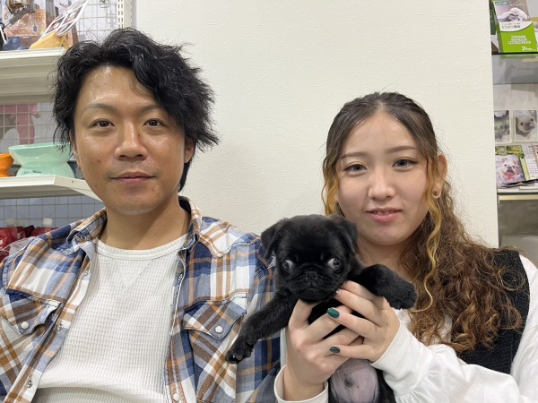 ★東京都のお客様★黒パグのパルくん！サムネイル