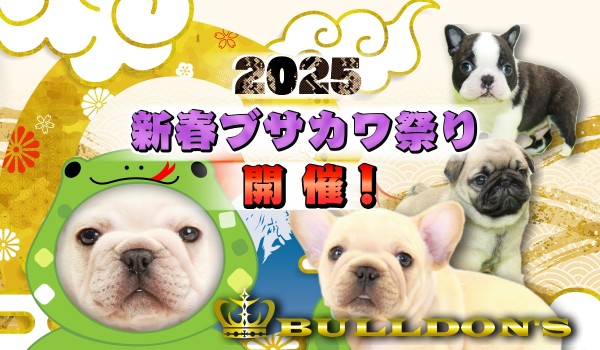 新春ブサカワ祭り開催！！サムネイル