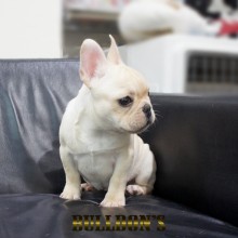 DSC01820