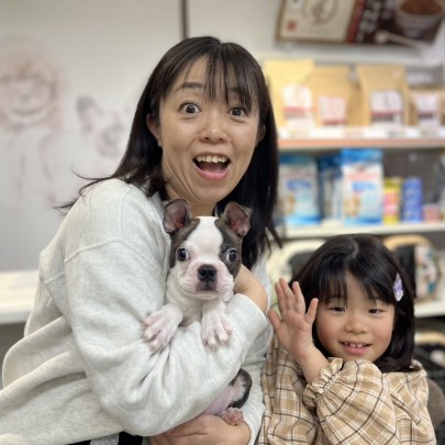 ★埼玉県のお客様★ボストンテリアのマルコ君！サムネイル