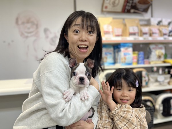 ★埼玉県のお客様★ボストンテリアのマルコ君！サムネイル