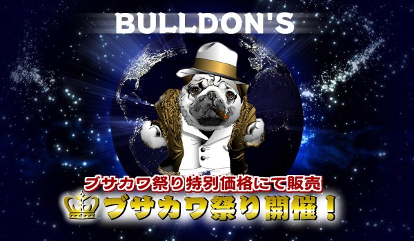 子犬見学は埼玉犬舎・BULLDON’S世田谷店にてサムネイル