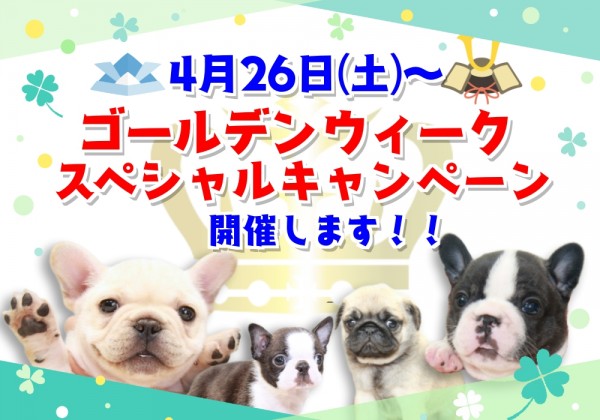 GWスペシャルキャンペーン終了しました！サムネイル