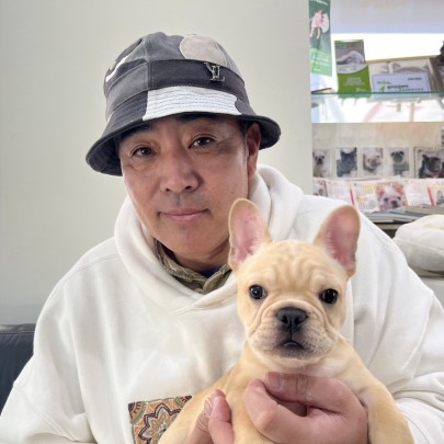 ★東京都のお客様★フレンチブルドッグの男の子！サムネイル