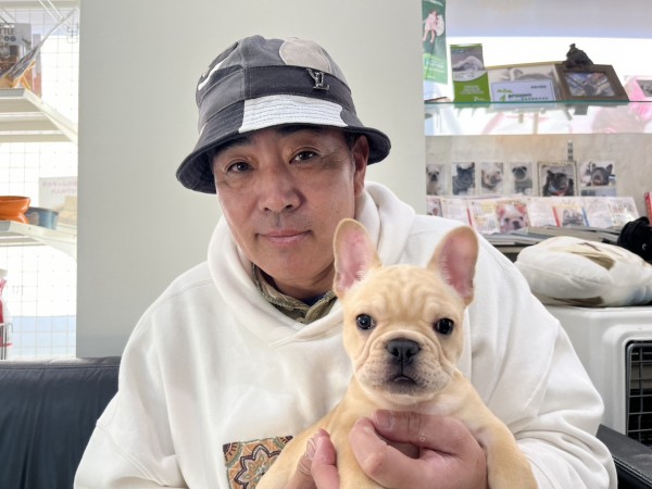 ★東京都のお客様★フレンチブルドッグの男の子！サムネイル