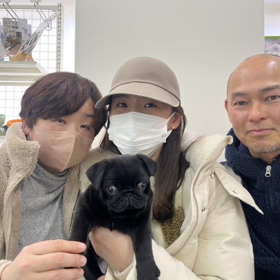 ★神奈川県のお客様★パグの男の子！サムネイル