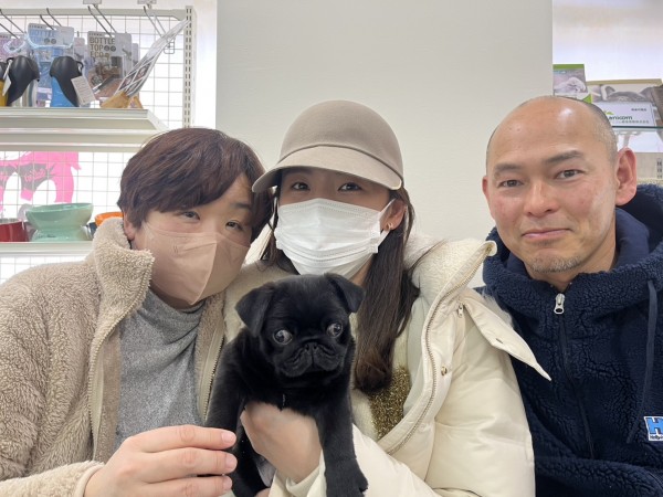 ★神奈川県のお客様★パグの男の子！サムネイル
