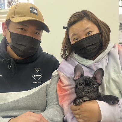 ★東京都のお客様★フレンチブルドッグの小助くん！サムネイル