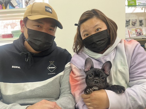 ★東京都のお客様★フレンチブルドッグの小助くん！サムネイル