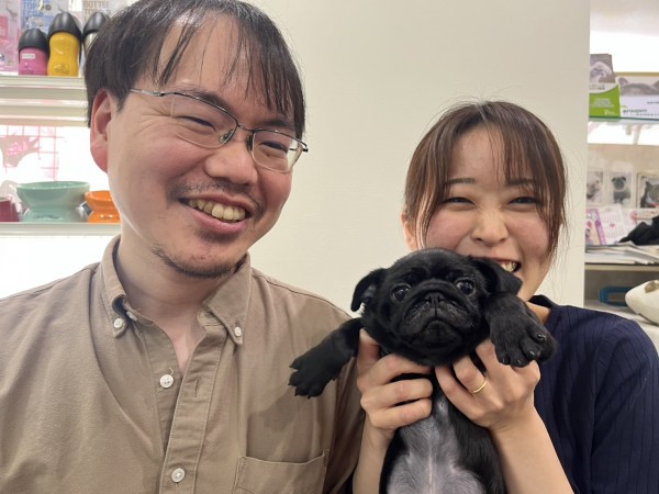 ★東京都のお客様★パグのポロくん！サムネイル